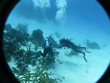 2011-09-05 11-45-31 Steven